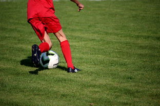 半岛官方入口登录-俱乐部青训体系与职业联赛脱节，俱乐部青训有工资吗